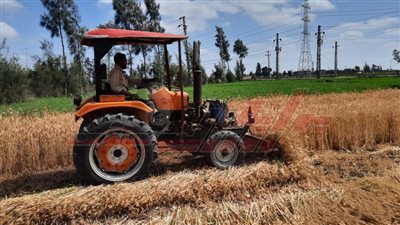 البرهامي: يكشف لـ