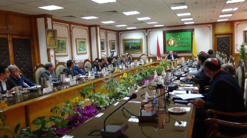 مجلس جامعة المنيا