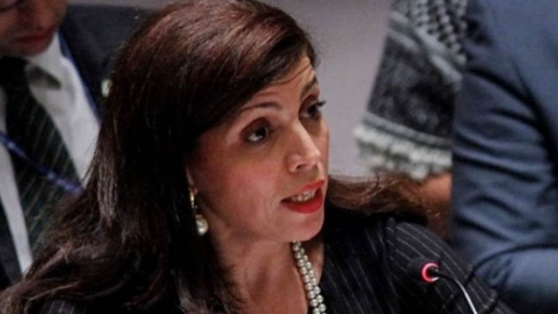 رئيس بعثة الأمم المتحدة