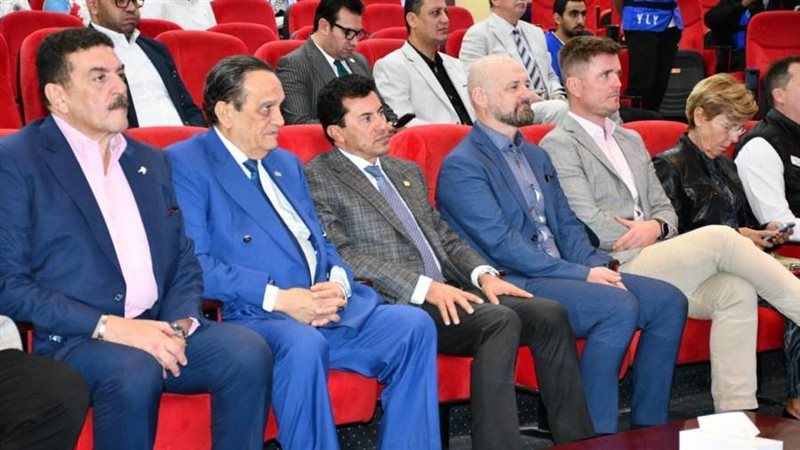 د. أشرف صبحى