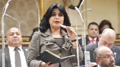 أمين سر إعلام البرلمان: الحوار الوطني يدشن لمرحلة جديدة من عمر الوطن