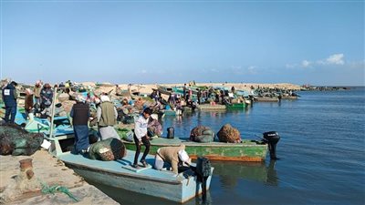 محافظ شمال سيناء يفتتح موسم الصيد في بحيرة البردويل