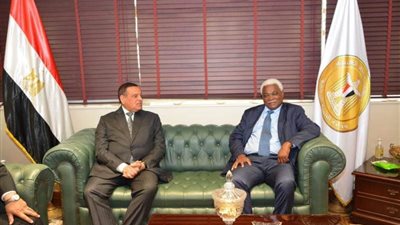 آمنة: توجيهات رئاسية بمد جسور التعاون وتقديم الدعم لدول القارة الإفريقية لتحقيق الرخاء والتنمية لشعوبها