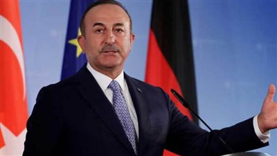 تشاووش أوغلو: أردوغان تلقى 