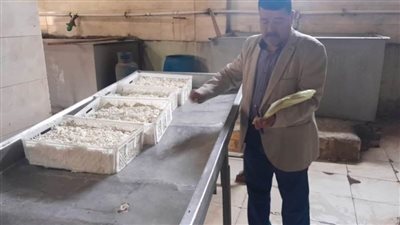 ضبط 3 مصانع لإنتاج الجبن بدون ترخيص خلال حملة تموينية بمطاي بالمنيا