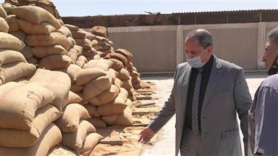 توريد 30 ألف طن من محصول القمح بالشون والصوامع الحكومية بمراكز المنيا