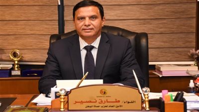 نصير: العلاقات المصرية اليابانية طريق لتحقيق السلام والتنمية المستدامة