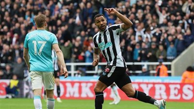 «ويلسون» البديل يُسجل فوز نيوكاسل على ساوثامبتون في البريميرليج
