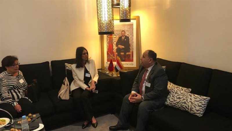 وزير المالية د. محمد