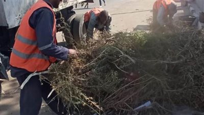 متابعة أعمال النظافة العامة بحيِّ أول الإسماعيلية 