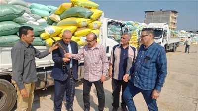 وكيل زراعة البحيرة يتابع انتظام عملية توريد القمح بدمنهور