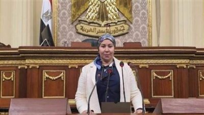 برلمانية: قرارات الرئيس السيسي تعزز من برامج الحماية الاجتماعية وتعكس الاهتمام والتقدير للعمال