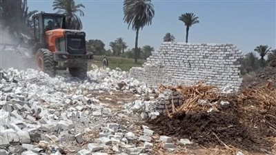 إزالة 68 حالة تعد ضمن الموجة 21 ببني سويف 