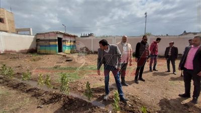 زراعة الأشجار المثمرة بالميادين والشوارع والمدارس في كفر الشيخ