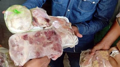 صحة الإسكندرية تضبط أكثر من 32 طنا من الأغذية غير الصالحة