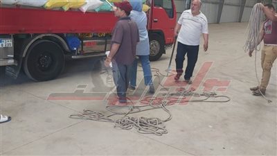 توريد 43945 طنا و692 كجم قمح لشون وصوامع كفر الشيخ