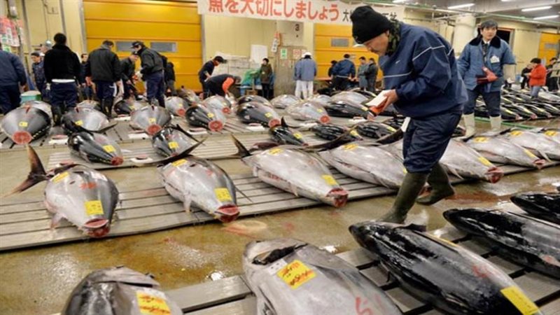 اليوم العالمي لسمك