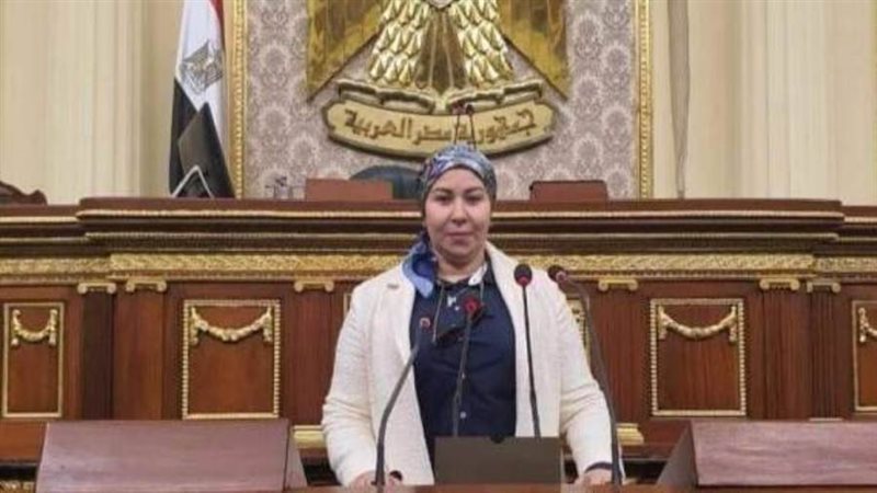 النائبة فايزة صالح