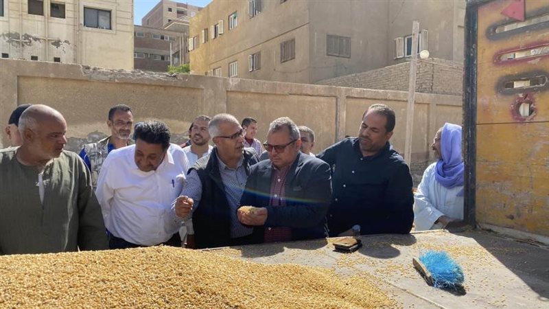 توريد القمح