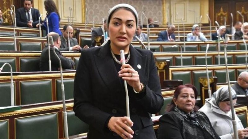 النائبة أسماء الجمال