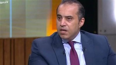 المستشار محمود فوزي : الحوار الوطني أولى الخطوات نحو الجمهورية الجديدة والجلسات لن تنتهي قبل شهرين