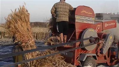 تشييع جثمان أربعيني ابتلعته ماكينة درس القمح بالشرقية 