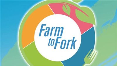 مصر تستضيف «دول الجوار الأوروبي الجنوبي» الإقليمية الرئيسية