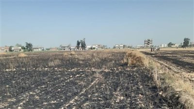 السيطرة على حريق في أرض زراعية بقرية العاشرة بالبحيرة