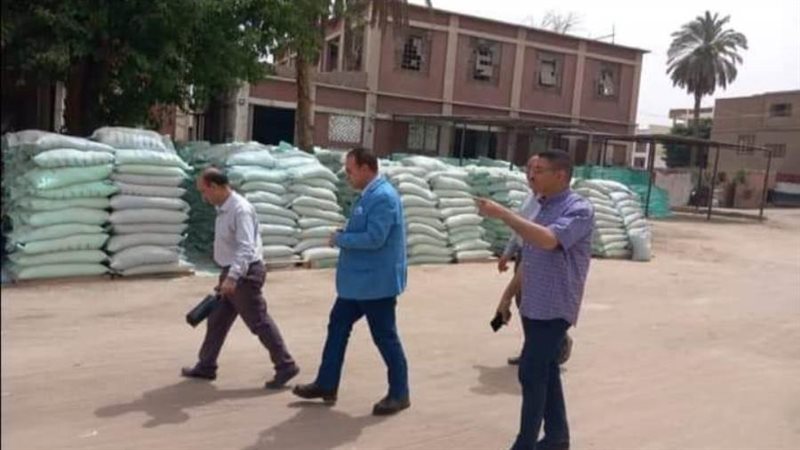 توريد القمح بالمنيا