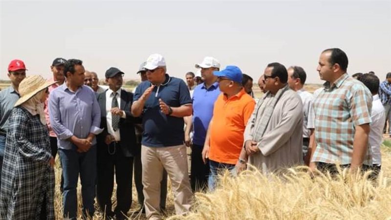 حافظ الوادي الجديد