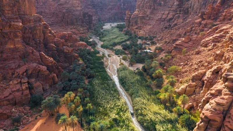 وادي الديسة