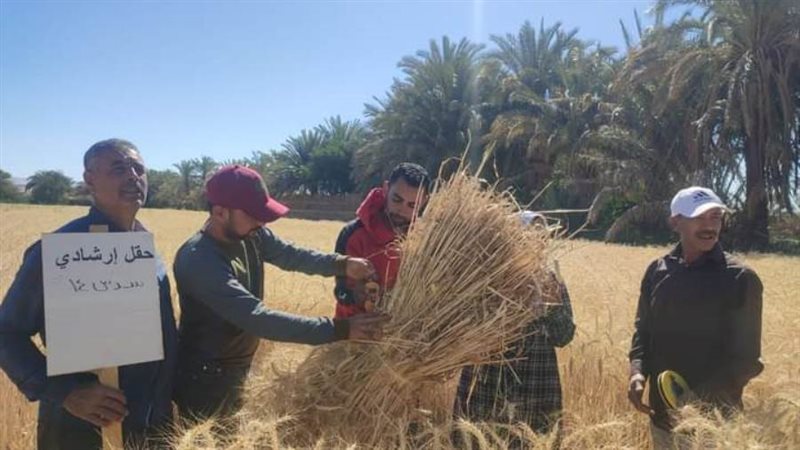 الفرحه تغمر المزارعين