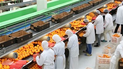 موسكو تؤكد استمرار العوائق المانعة لتسهيل تصدير المنتجات الزراعية الروسية