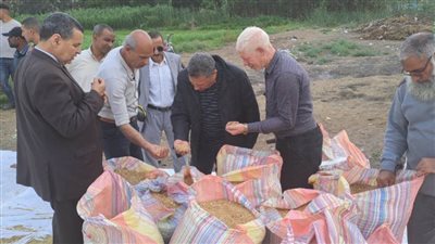 وكيل تعليم البحيرة يفتتح موسم حصاد القمح بمدرسة ناصر الثانوية 
