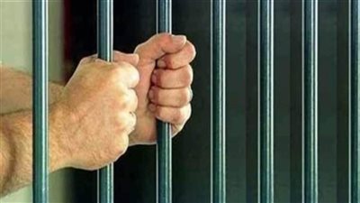 المشدد 7 سنوات غيابيًا لصاحب محل المتهم بضرب شقيقه في العبور