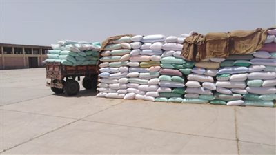 توريد 84 ألف طن قمح لصوامع وشون محافظة البحيرة