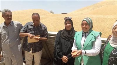 وزير الزراعة يوجه قيادات الوزارة بمتابعة حصاد وتوريد القمح