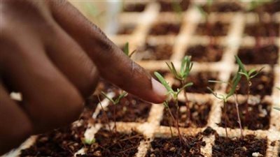 غدا .. واشطن تستضيف قمة 