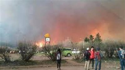 كندا: عمليات إجلاء جديدة جراء حرائق الغابات غرب البلاد