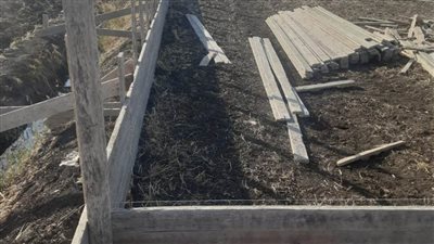 إزالة 723 حالة تعدٍ على الأراضي الزراعية وأملاك الدولة بالبحيرة