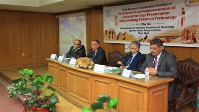 وزيري يشارك في الاجتماع الدولي الأول للطاقة الدولية