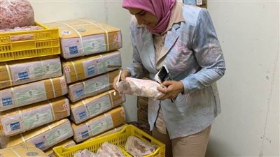 إحالة 113 مخالفة تموينية بالدقهلية للنيابة العامة