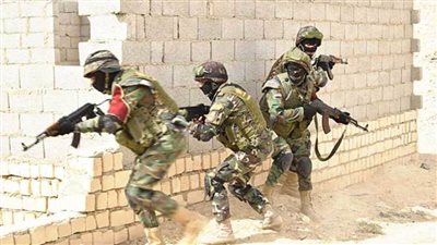 من 306 عمليات في 2013 إلى صفر.. كيف انتصرت مصر على الإرهاب؟