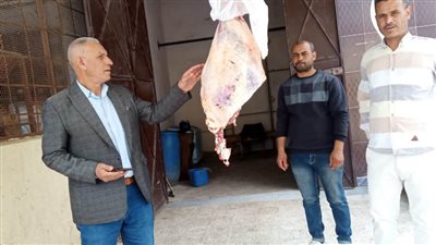 ضبط لحوم غير صالحة والتحفظ على 60 طن تقاوي قمح بالبحيرة