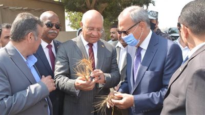 محافظ القليوبية ورئيس جامعة بنها يفتتحان موسم حصاد القمح بزراعة بمشتهر