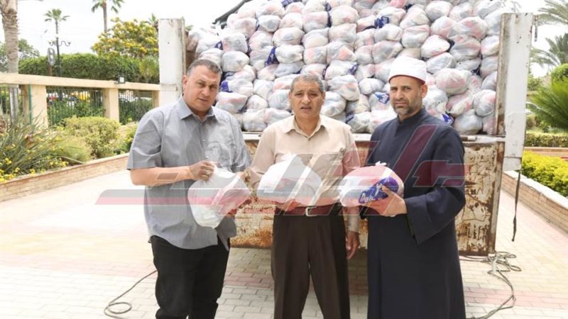 المهندس شريف هيكل