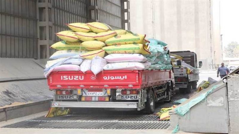 توريد القمح للصوامع