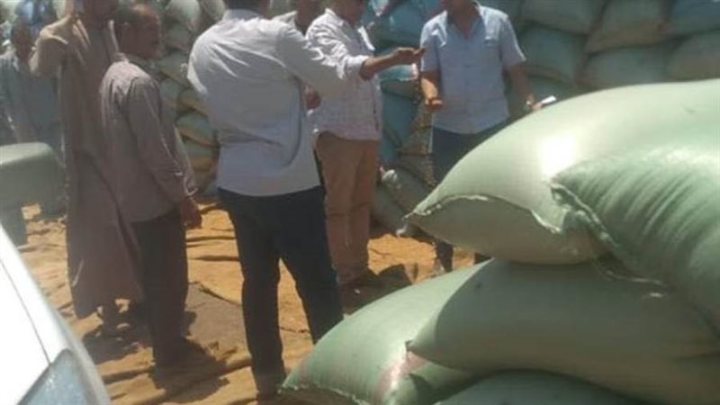 توريد القمح