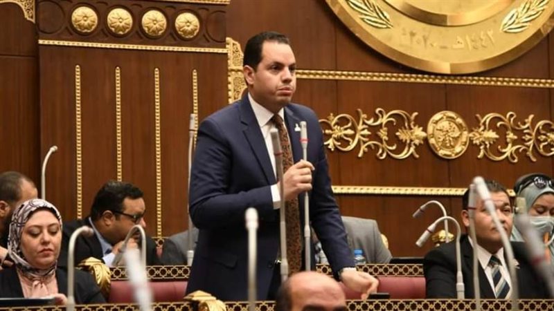 النائب أحمد فوزي