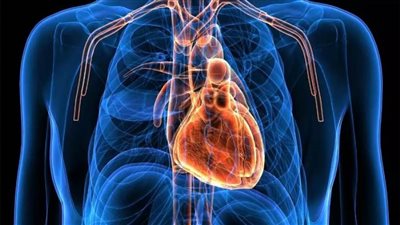 الرعاية الصحية تطلق حملة توعوية للمحافظة على القلب من أخطار الموت المفاجئ